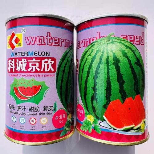 科诚京欣西瓜种子早熟高圆鲜红瓤坐果力强沙脆多汁抗病高产西瓜籽