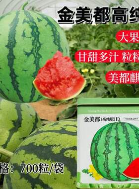 神禾金美都高纯版西瓜种子中早熟果实圆形果肉酥脆多汁瓜春夏种籽