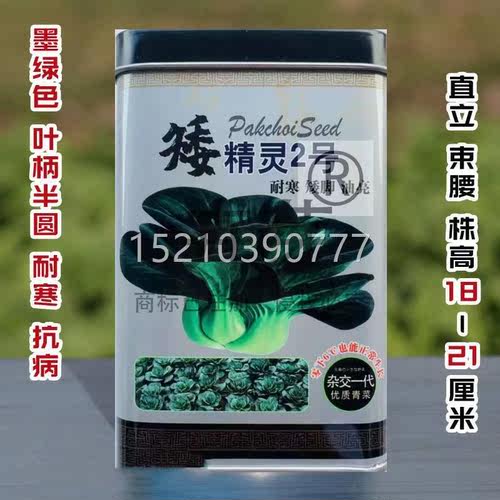 病矮精菜灵号青梗菜种子黑2叶苏IPE州青矮脚油青菜耐寒抗四季蔬菜
