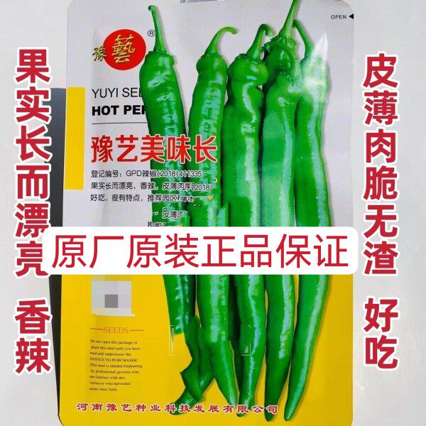 豫艺美味长辣椒种子 特长羊角椒种子浅绿皮好吃香辣皮薄肉脆无渣