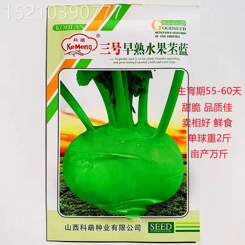 水果苤蓝种子二号三号早熟甜脆水果丕兰种籽农家春秋季播蔬菜种孑