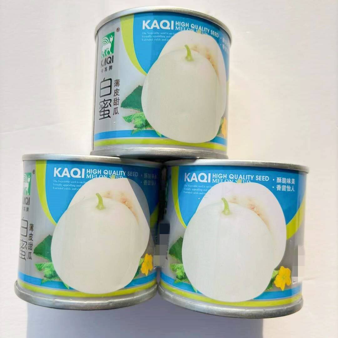 卡其白蜜甜瓜种子绿肉薄皮香瓜种籽早熟冰糖甜瓜白皮抗病超甜水果