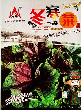山冬寒菜热种子优RGD质抗病喜冷耐寒耐旱研较耐口感好秋冬凉蔬菜
