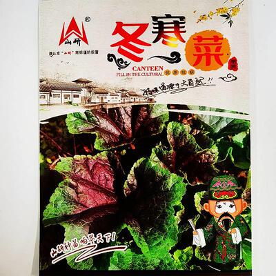 山冬寒菜热种子优RGD质抗病喜冷耐寒耐旱研较耐口感好秋冬凉蔬菜