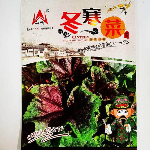 山冬寒菜热种子优RGD质抗病喜冷耐寒耐旱研较耐口感好秋冬凉蔬菜