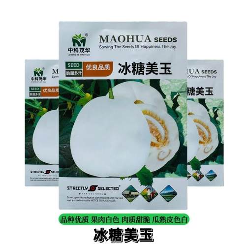 冰糖美玉甜瓜种子 100粒