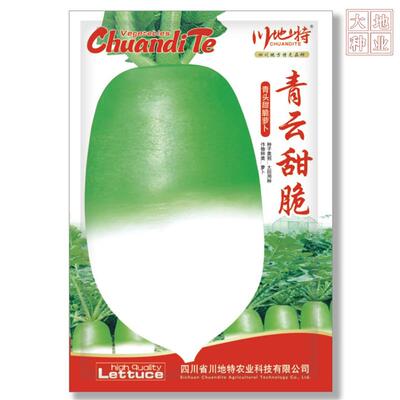 川WCG地特青甜脆基萝卜种云子 中晚种熟品耐寒味微甜不易辣心地专