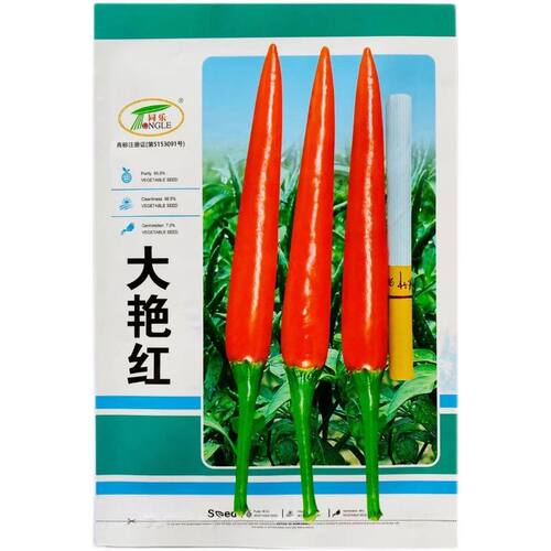 同乐大艳红朝天椒大果品红小米椒指天椒一代杂交种子单生大田基地