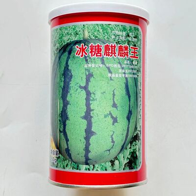 荃银冰糖麒麟王西瓜种子早熟超甜口感好易坐果膨果快高产抗病春播