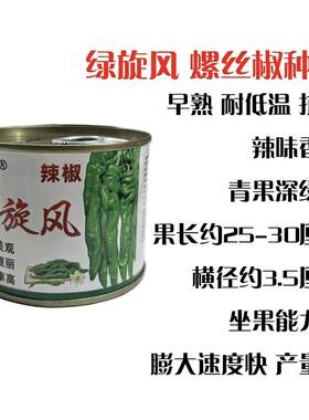 绿旋风螺丝椒种子大果型肉厚浓辣早熟青辣尖椒薄皮陇椒虎皮辣椒籽