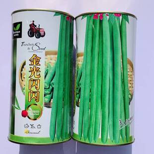 拖车头四季豆早中熟结荚多密荚不易老产量高品质佳抗病性强不早衰
