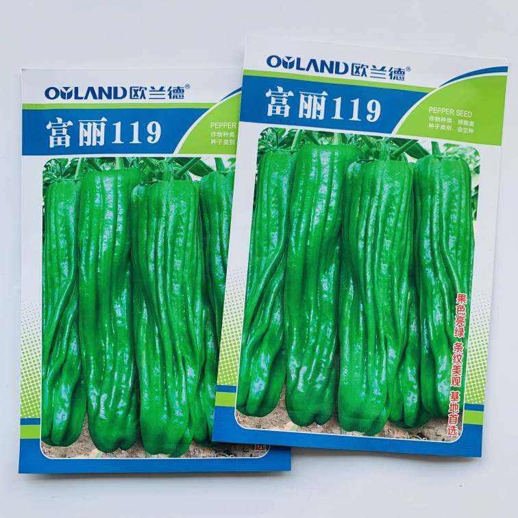 富丽119早熟薄皮辣椒种子杂交辣椒种抗逆性强灯笼型薄皮辣椒籽