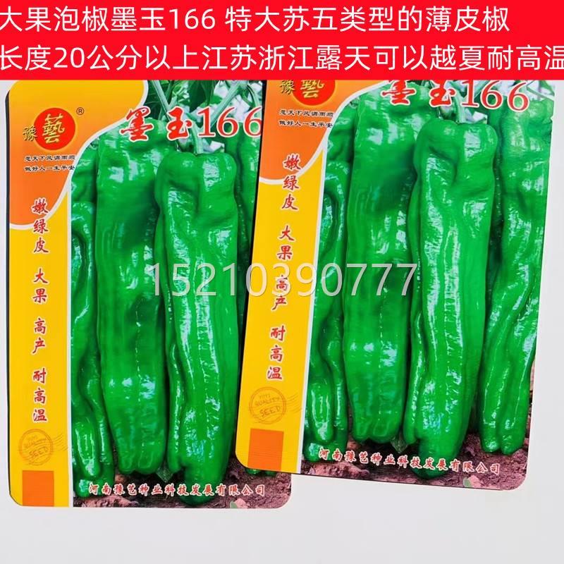 大果泡椒南种子薄ALR皮椒种籽病丰北产耐高温适宜方方地区春秋抗