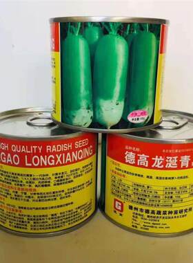 萝卜种子龙延青水果萝卜适合东北华北地区种植夏秋季蔬菜