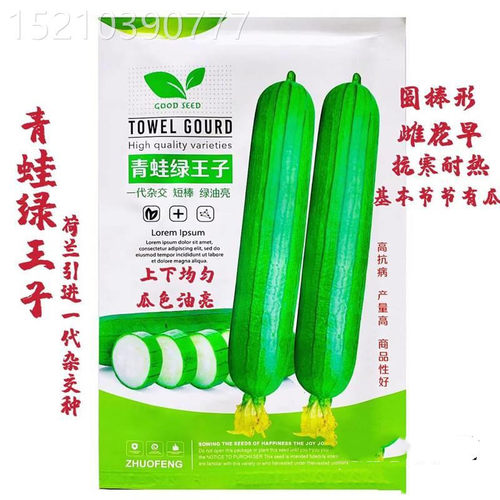 青蛙绿王子丝瓜种子早熟绿色短棒油亮型种籽肉厚春夏季播蔬菜种孑