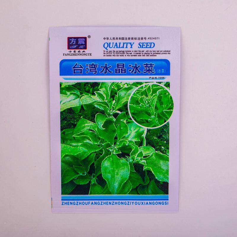 种盆栽草莓子 大叶罗勒 汉堡菜 红七金宝 金色癞瓜 FIM彩椒网红特