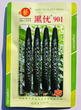 豫艺黑优901黄瓜种子强雌油亮绿心春秋绿肉密刺黄瓜种籽脆甜青瓜
