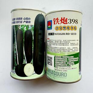 铁炮398黑皮冬瓜种子炮弹型杂交一代大冬瓜种子肉厚心腔小转黑快