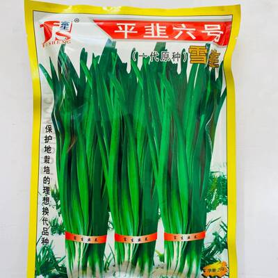 富生平韭六号韭菜种子冬季不休眠耐寒抗病高产宽叶小叶香韭菜种籽