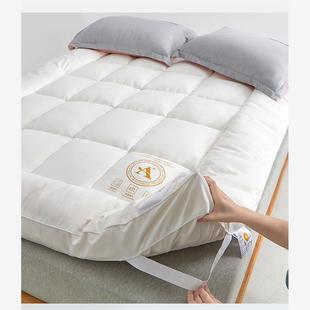 Student Dormitory Mattress Topper Pad Single Double Bed Twin