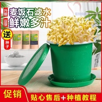 发芽水培箱新品环保放心育苗麦饭石大容量简单两层豆芽罐发黑豆