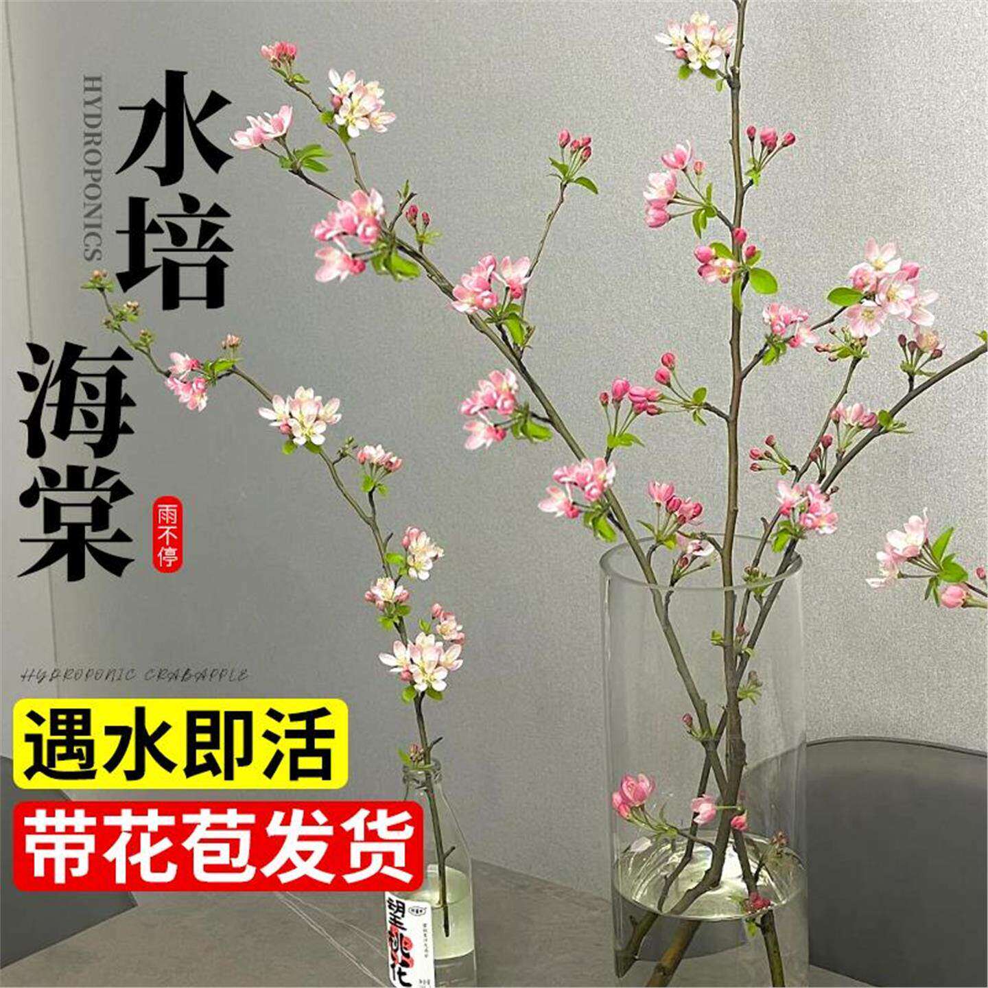 海棠花水培植物鲜花开花四季鲜切花枝带花苞花卉绿植室内插花盆栽