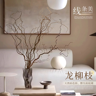 龙柳枝条树枝树干装饰室内高级感侘寂风天然真干花摆件插花干鲜枝