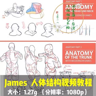 james proko 双语翻译 人体结构美术原画零基础绘画高清视频教程