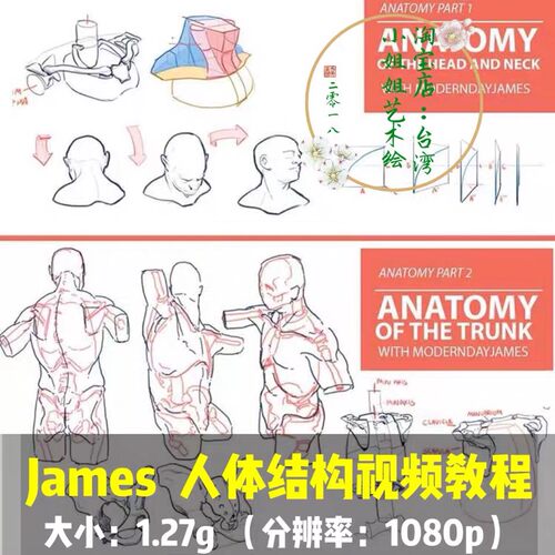 james proko 双语翻译 人体结构美术原画零基础绘画高清视频教程