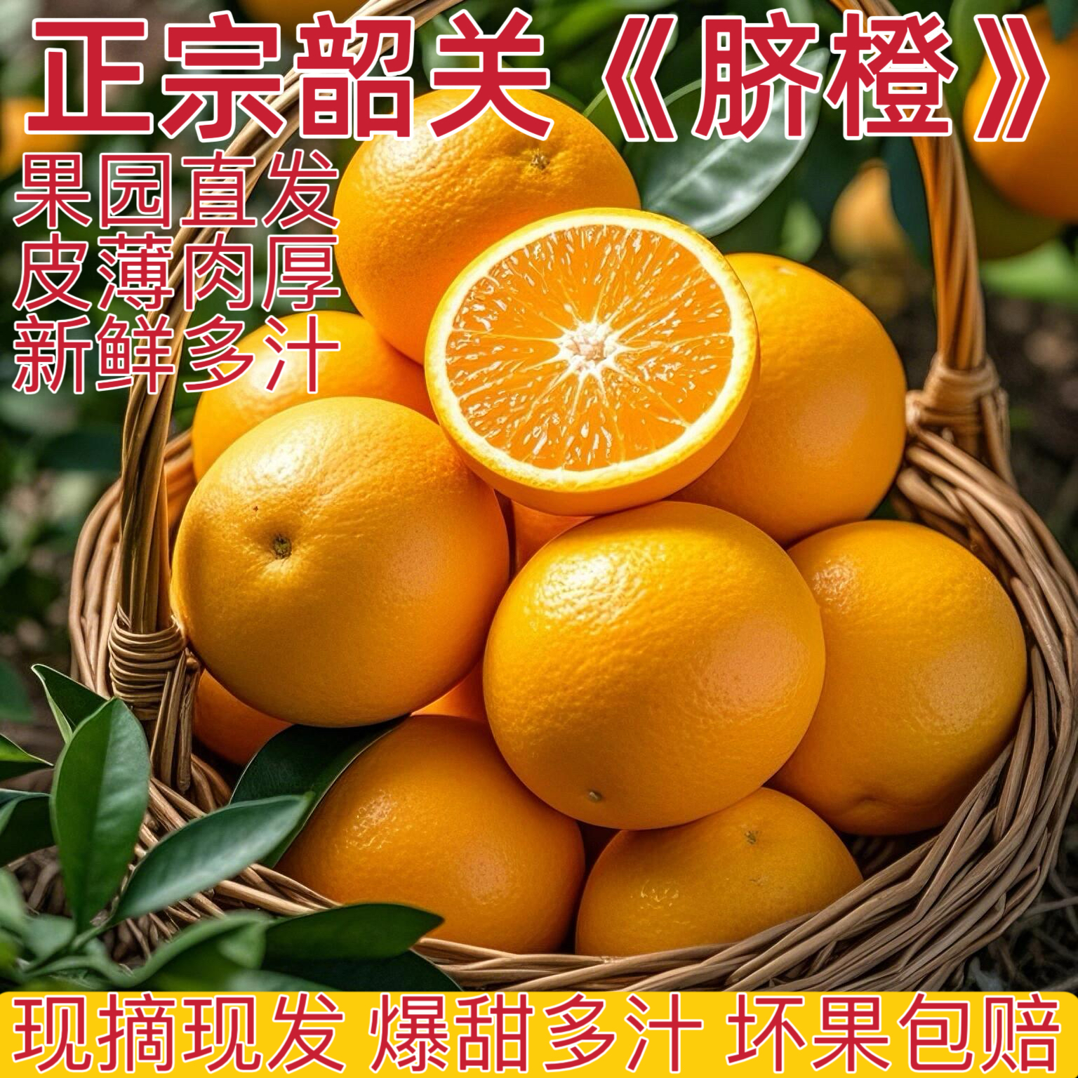 正宗粤北乐昌新鲜脐橙孕妇水果