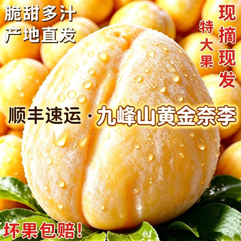 乐昌九峰山黄金奈李孕妇网红水果新鲜蜂糖李脆甜多汁恐龙蛋包邮