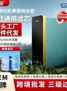 ro反渗透纯水机加热一体直饮家用净水器过滤免安装净水机一体机