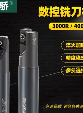 BAP300R/400R一体式直柄平面飞刀盘铣床加工中心数控炮塔铣刀杆