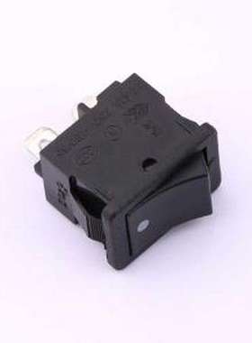 SS21-BBDWG2-S2-R D/C 船型开关 翘板开关 插件,21x15mm