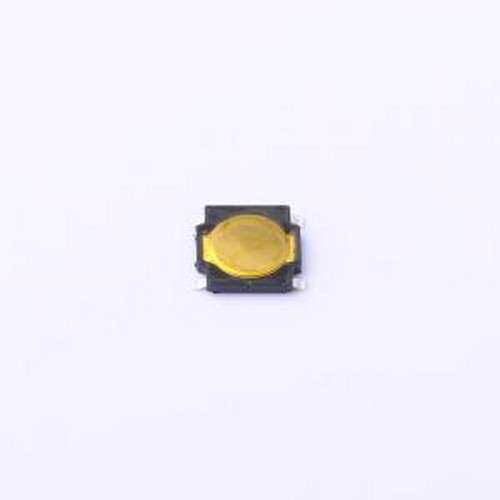 RKA2SGG055SMTRLFS 轻触开关 RKA2SGG055SMTRLFS SMD