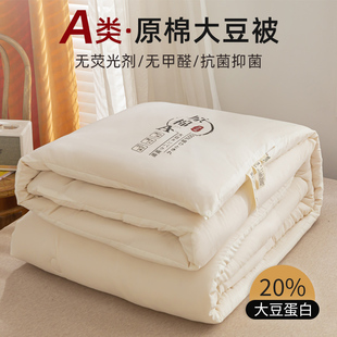 被子春秋被加厚大豆纤维被棉被被芯单人被子四季 通用被褥冬太空被