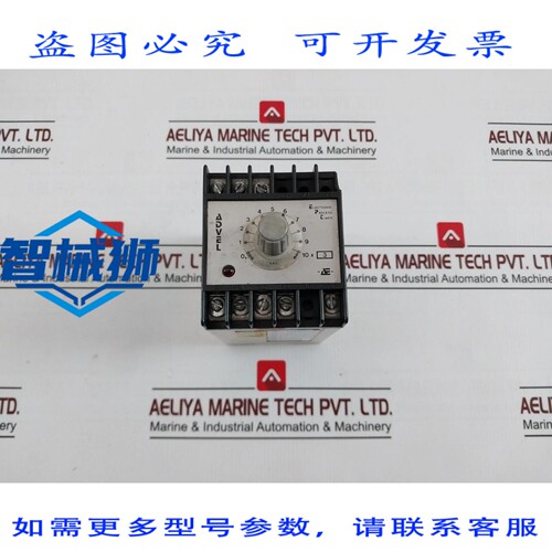 原装供应 ADVEL PPER/30/2S 电子定时器 24VDC 4VA 250V 4A