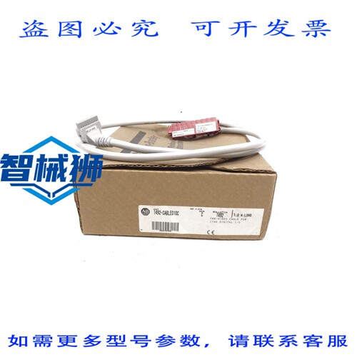 原装供应 罗克韦尔AB 1492-CABLE010C SER.C NSMP