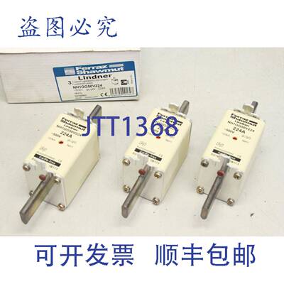 供应3x Ferraz Shawmut NH1 保险丝盒 Lindner 224A 500V 120
