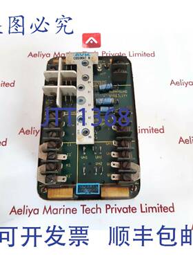 供应AVK Cosimat N 电压调节器