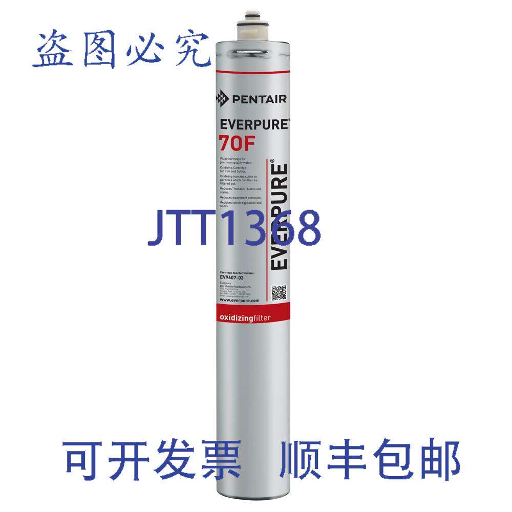 现货供应PENTAIR EV960703 滤水器滤芯 1,000 加仑 0.5 GPM 10-12