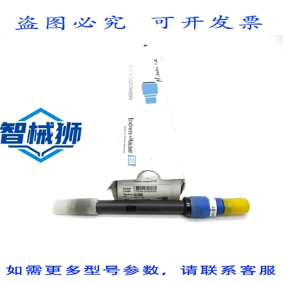 原装供应 ENDRESS+HAUSER CPS64-0HK2ESA NSMP