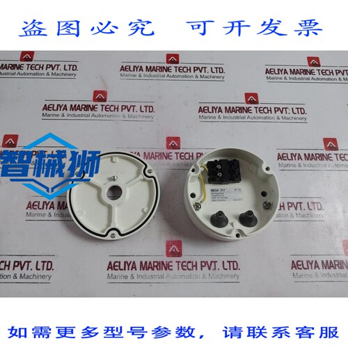 原装供应 TAPA DE CAJA DE MONTAJE BEGA 217 PARA LUMINARIA 703