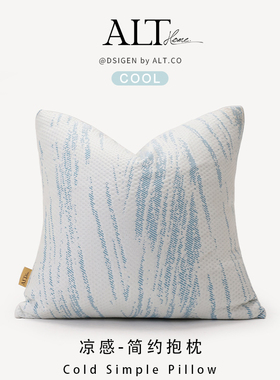 蓝色方形沙发抱枕套客厅轻奢高级感2025新款靠垫床上靠枕头不含芯