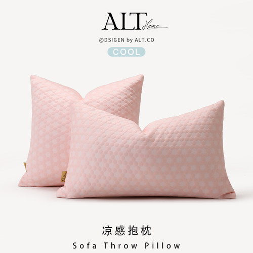 夏季纯色沙发抱枕套不含芯客厅轻奢高级感凉感靠枕2025新款靠垫背