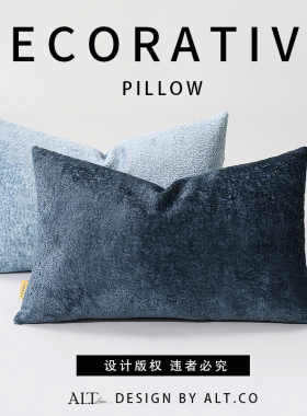 蓝色沙发抱枕套不含芯客厅轻奢高级感靠枕长方形靠背床头靠垫腰枕