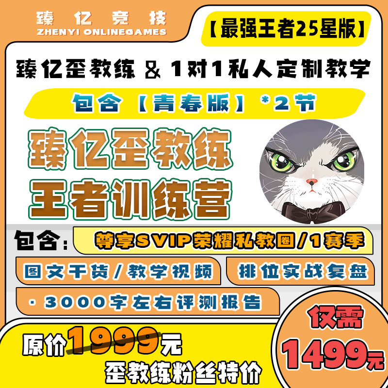 歪教练王者荣耀1对1私人定制教学【无双王者25星版】