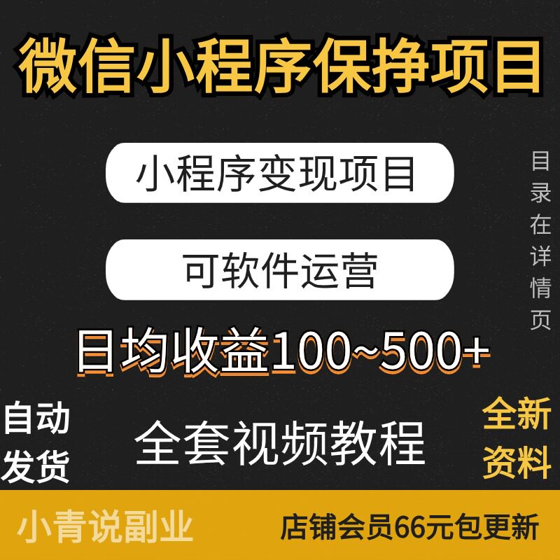 微信小程序变现项目保挣项目可软件运营手机互联网新项目教程资料