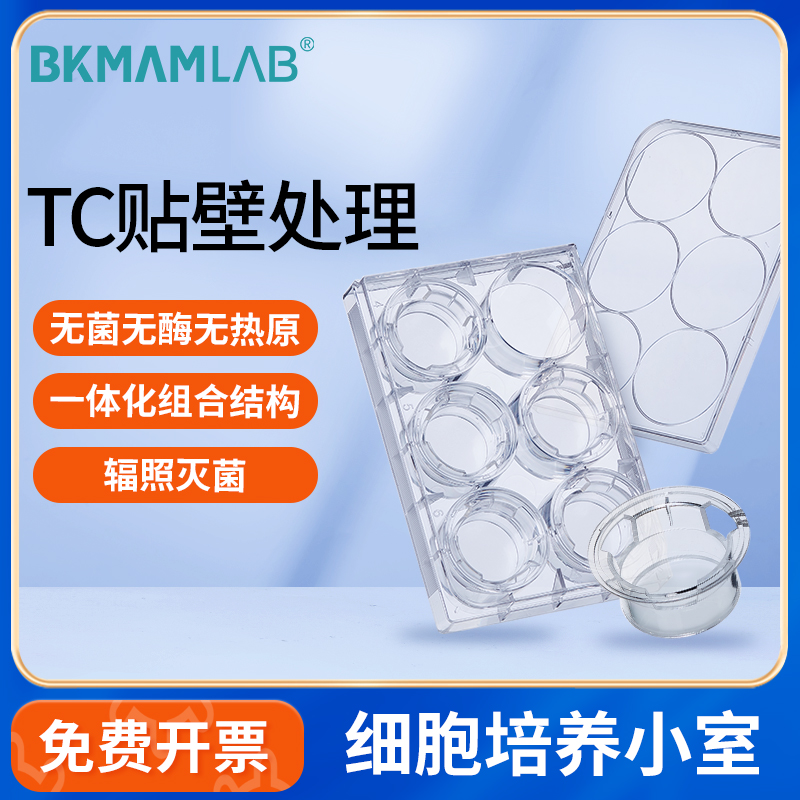 BKMAMLAB无菌无酶细胞培养小室