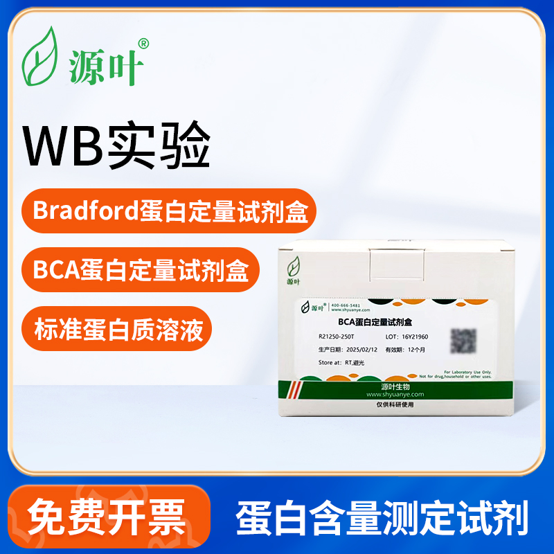 源叶标准蛋白浓度测定试剂盒